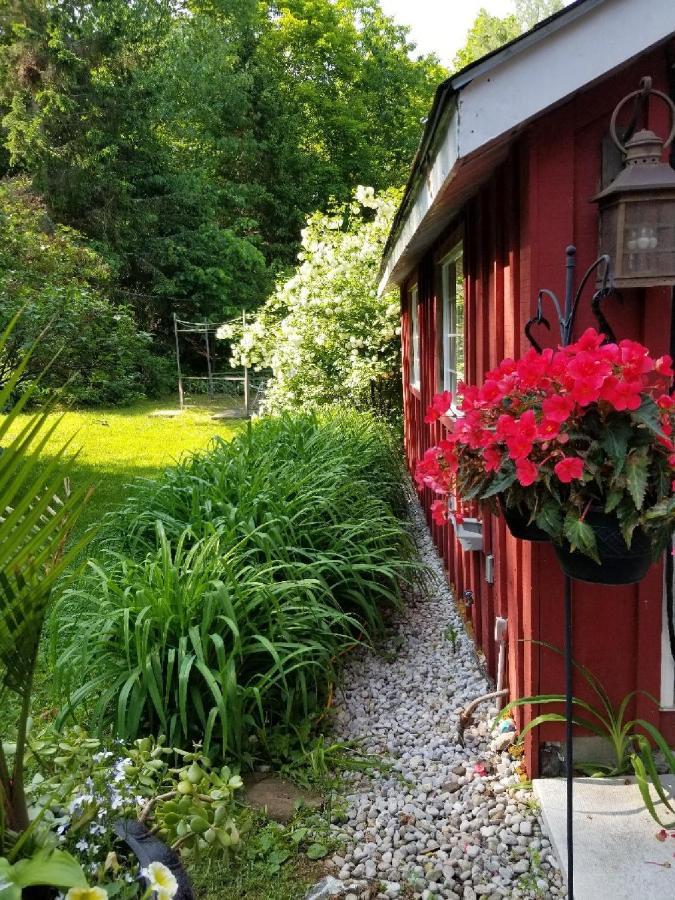 Ethel Maud Place Hotel Severn Luaran gambar