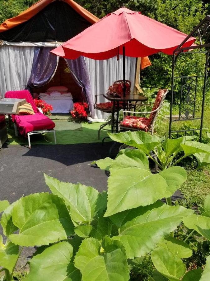 Ethel Maud Place Hotel Severn Luaran gambar