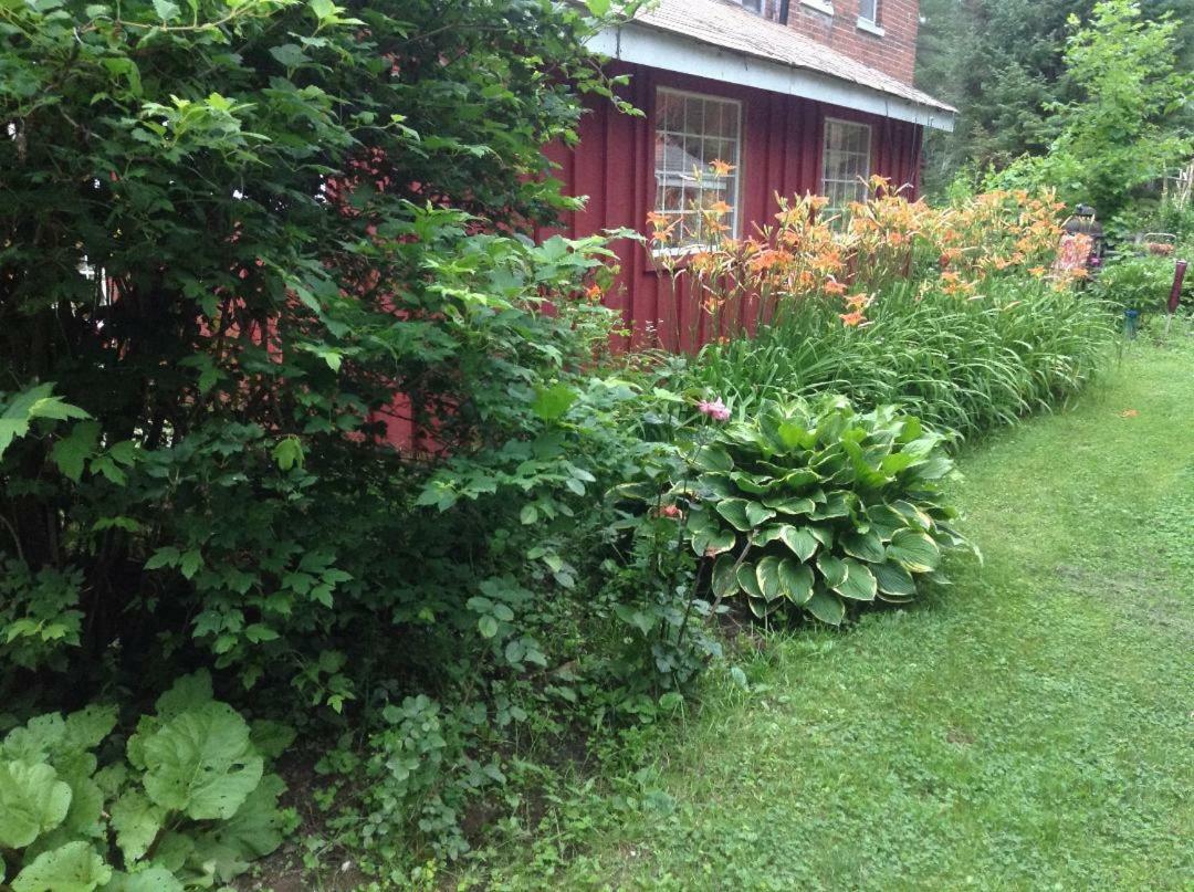 Ethel Maud Place Hotel Severn Luaran gambar